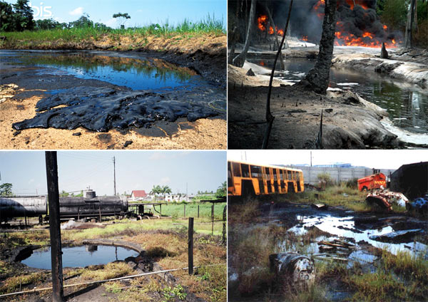 Примеры экосистем с сильным нефтяным загрязнением.
